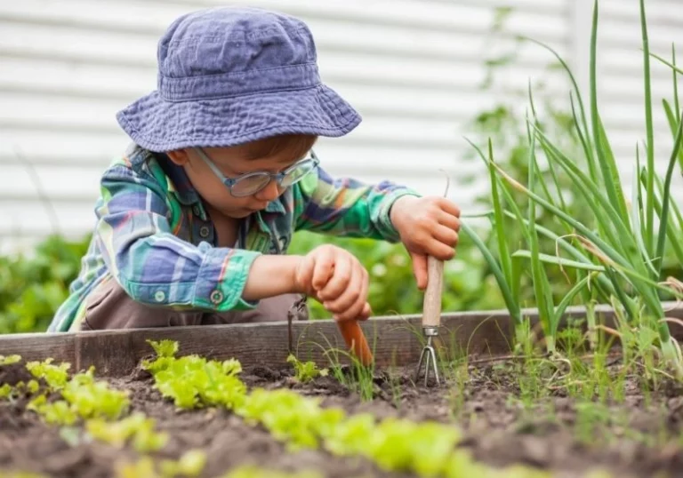 accessoires potager