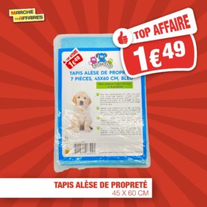 magasin discount à Sainte Maure de Touraine